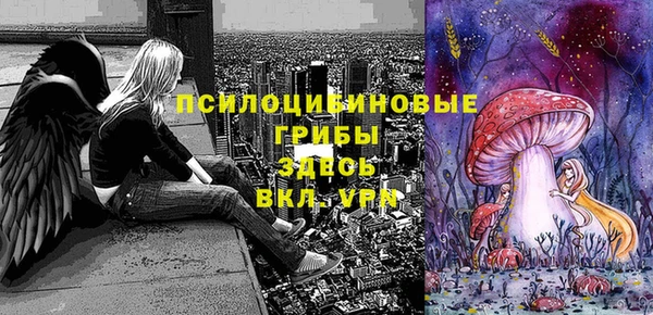 первитин Алексеевка