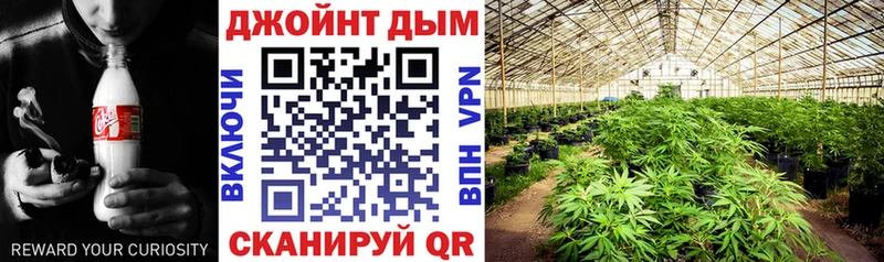 Бошки марихуана ГИДРОПОН Макушино